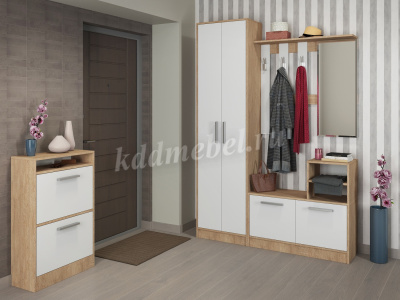 Шкаф для одежды Энтер (Дуб сонома/Белый)