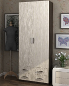 Шкаф распашной Дуэт (Венге/Дуб белфорт)