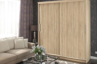 Шкаф-купе Рикко 2.0 (Дуб сонома)